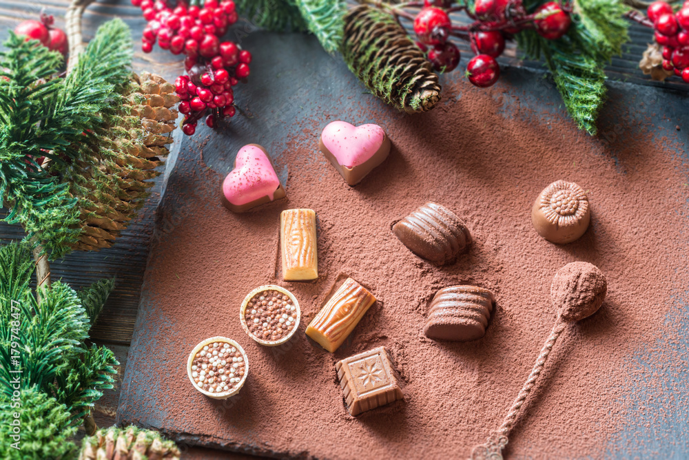 Chocolate candies with cocoa and Christmas tree branch Chocolate candies with cocoa and Christmas tree branch