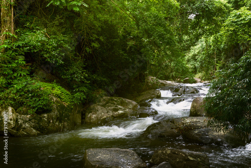 Beautiful Landscape Photography of Waterfall in a deep Forest