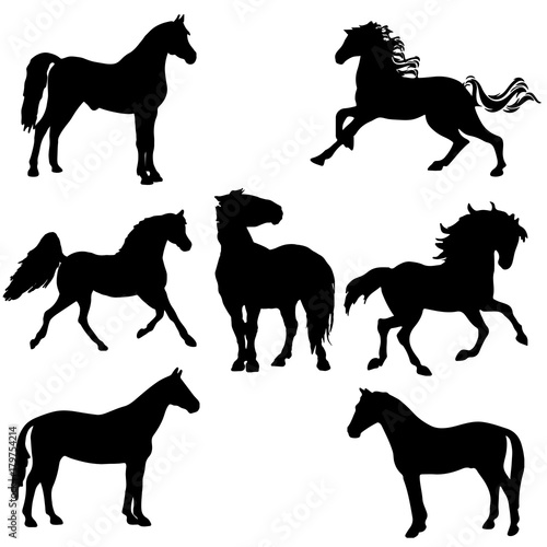 black horse silhouette clipart. vector illustration