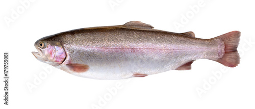 Rainbow trout isolated on white. Fresh fish.