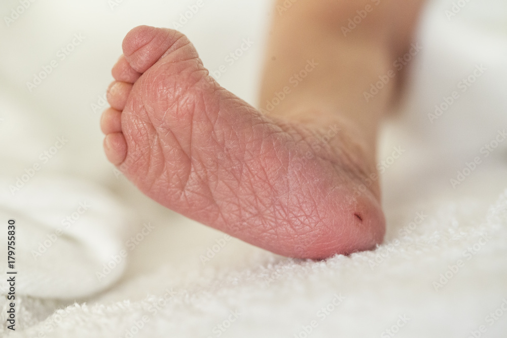 Fototapeta premium Fuß eines neugebohrenen Säuglings