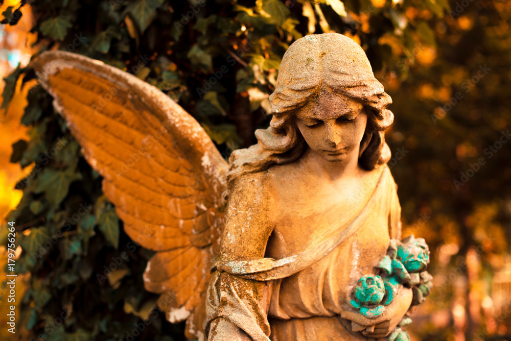 The figure of an angel in – symbol of love, invisible forces, purity, enlightenment, ministry. Chariot.