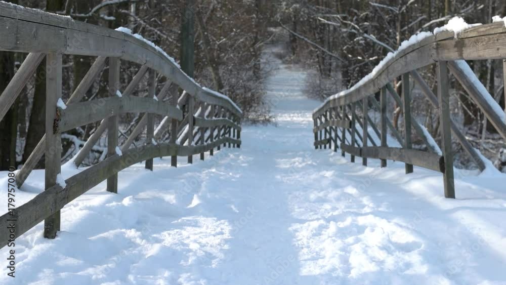 Road throught the park, winter. Wooden bridge, snow. Road throught the park, winter. Wooden bridge, snow.