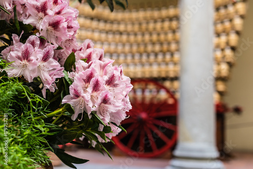 Pink flowers with cart and Chianti bottles.