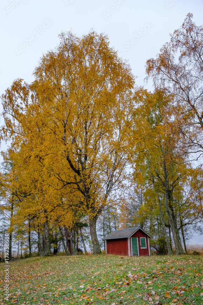Small red house in forrest at fall