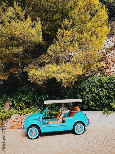 Fiat jolly