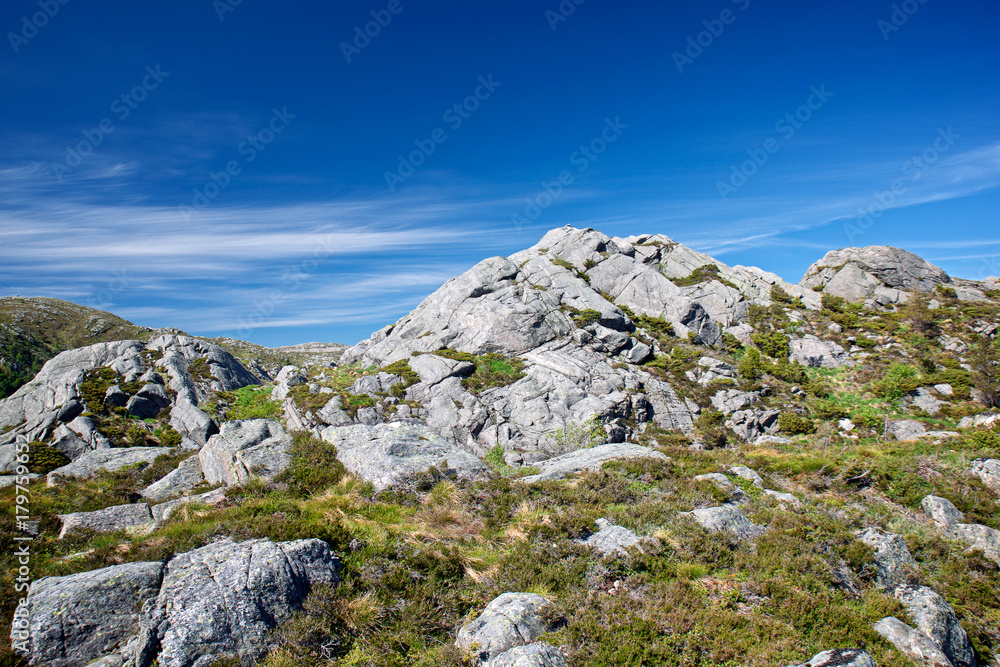 Norway Hill Norway Hill