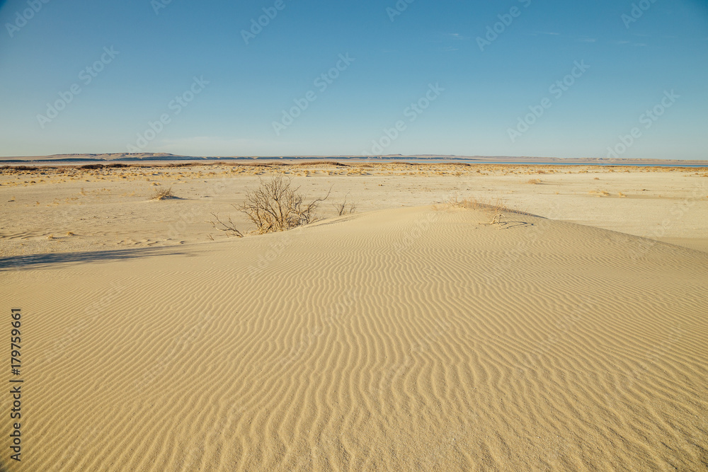 Natural desert landscape, sand dunes