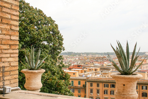 Sticker Landscape in terra cotta colour