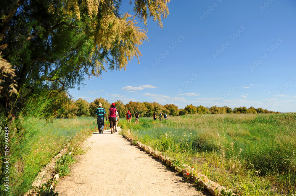 Tablas de Daimiel National Park, Castilla la Mancha, Spain Tablas de Daimiel National Park, Castilla la Mancha, Spain