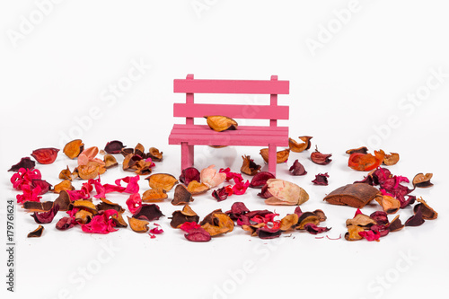 Dried Flowers and Bench