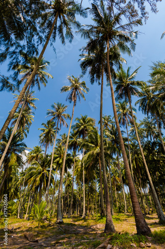 Tropical landscape of Koh Kood