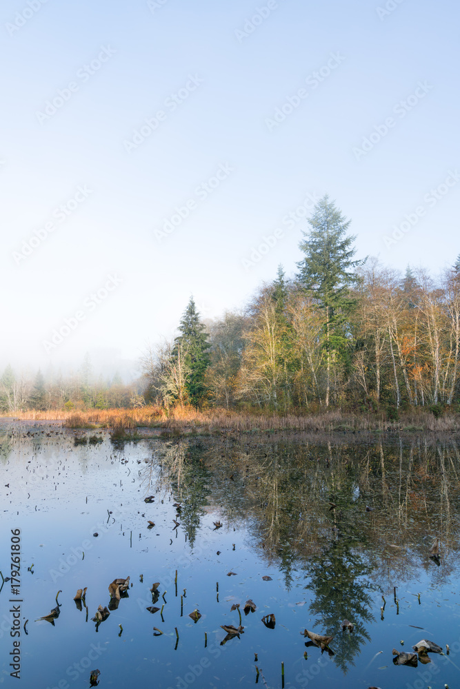 Foggy Morn At McLane Creek