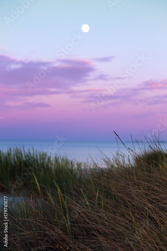 shore of the north sea