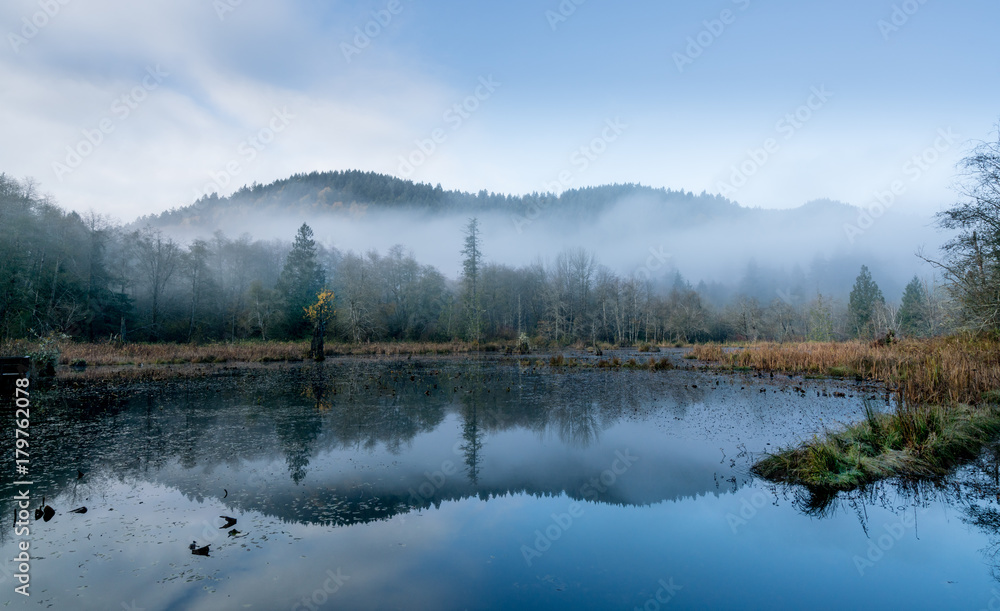 Foggy Morn At McLane Creek Foggy Morn At McLane Creek