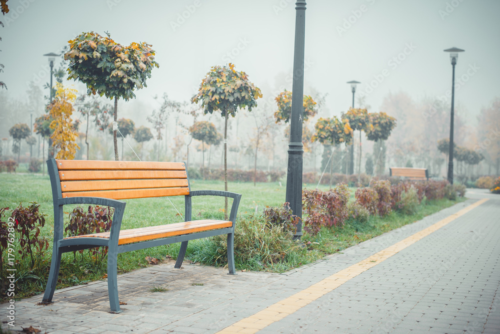 Autumn park in the morning fog