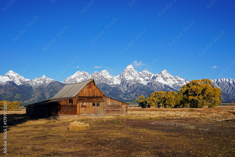 Jackson Hole Autumn