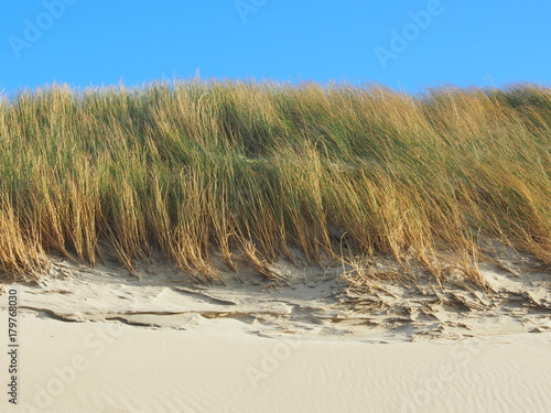 Nordseek  ste  D  ne mit unbetretenem Sand