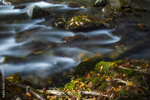 Smooth flowing water on river over rocks in autumn forest landscape scene