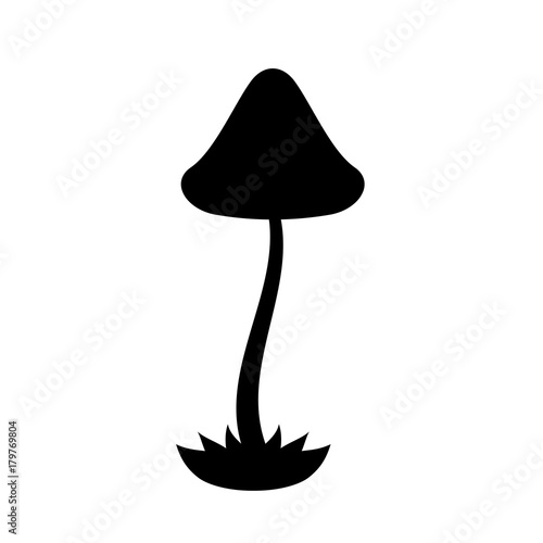 Magic mushroom silhouette Psilocybe semilanceata