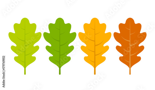 Seasonal specific oak leaves icon