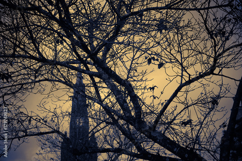 Dark scene with dry trees and gothic cathedral in the background - Church of Our Lady of Lourdes, Canela, Rio Grande do Sul, Brazil.