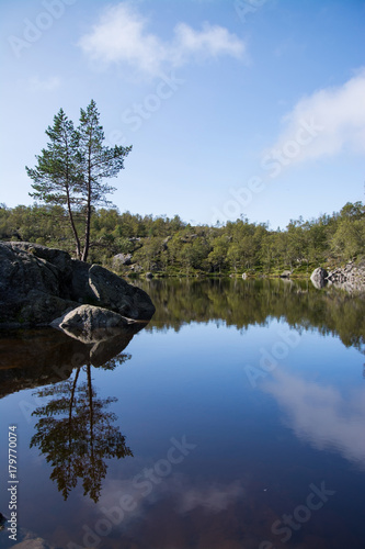 Am Weg zum Preikestolen, Rogaland, Norwegen photo