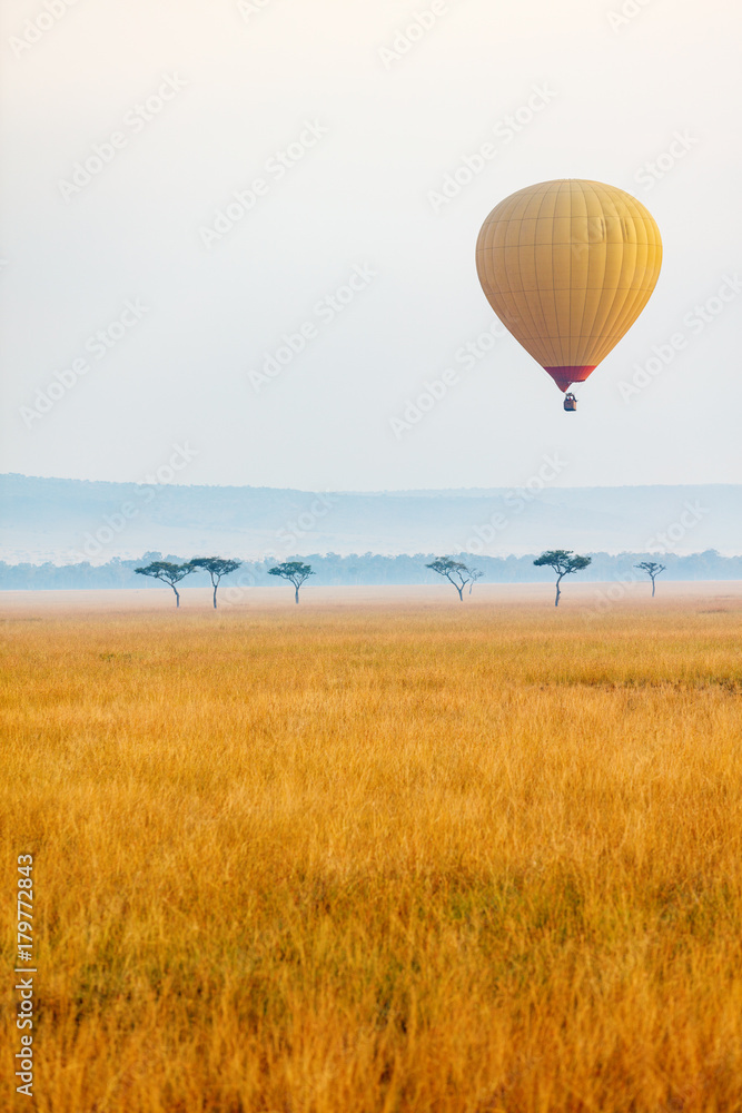Naklejka premium Hot air balloon in Africa