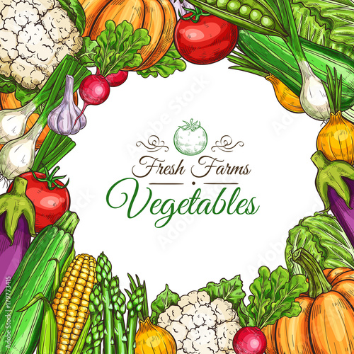 Vector sketch poster of fam vegetables or veggies