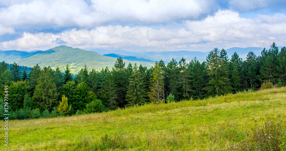 Photo of green forest and valley in Carpathian mountains Photo of green forest and valley in Carpathian mountains