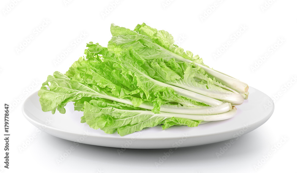 lettuce leaves in a plate isolated on a white background lettuce leaves in a plate isolated on a white background