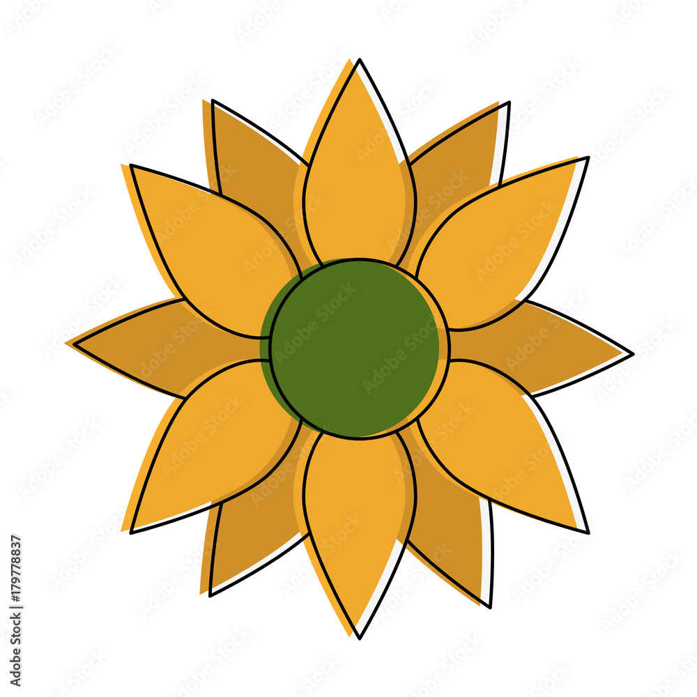 Sunflower beautiful flower icon vector illustration graphic design Sunflower beautiful flower icon vector illustration graphic design