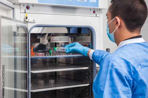 Fotografia Young laboratory researcher introducing a cell culture flask into an incubator