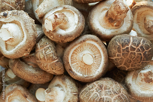 Round shiitake mushrooms.