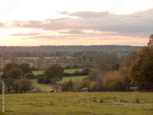 beautiful country scene fields trees horizon sky red autumn sun set Dedham Vale