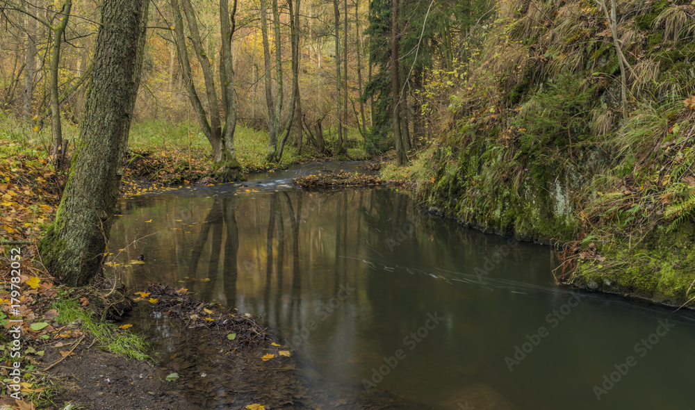 Bobri creek in Ceske Stredohori mountains