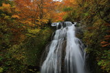 紅葉の姥滝