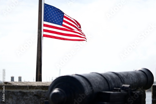 Flag with Cannon