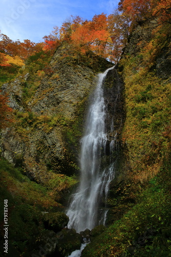 紅葉の降る滝 © yspbqh14