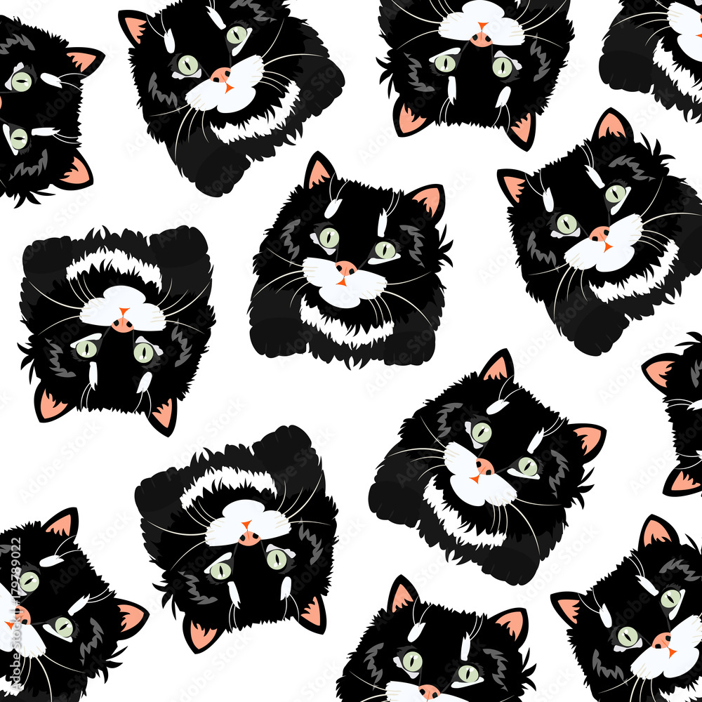 Obraz premium Black cats on white background