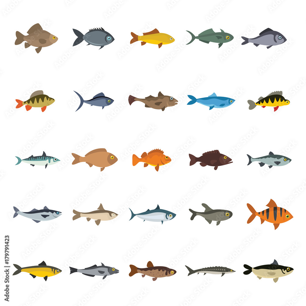 Naklejka premium Fish icons set. Flat collection of fish vector icons for web isolated on white background