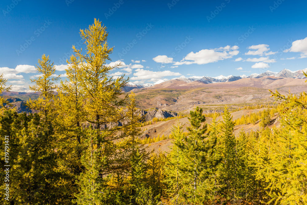 Fall in Mountains. Landscape panorama.