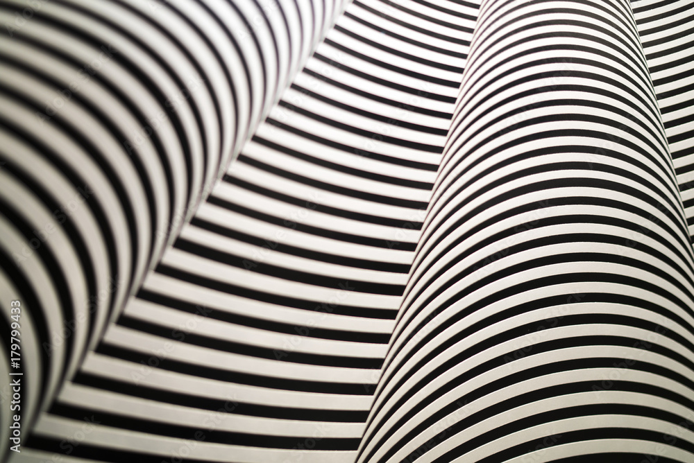 zebra art pattern zebra art pattern