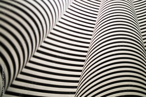 zebra art pattern