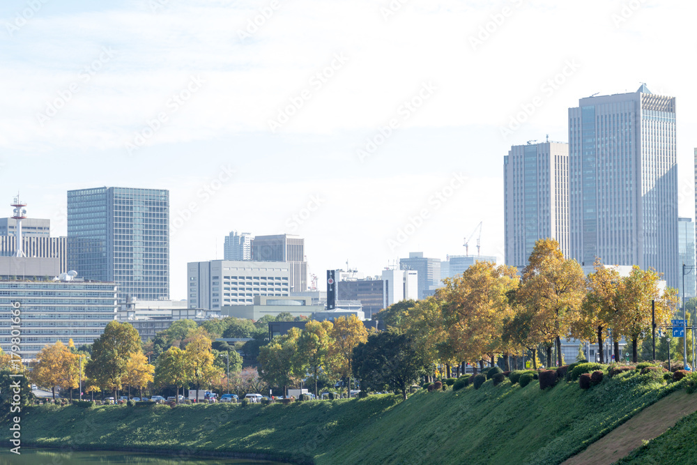 Obraz premium Tokyo central city in autumn / Fall scenery around the Imperial Palace in the central of Tokyo,Japan