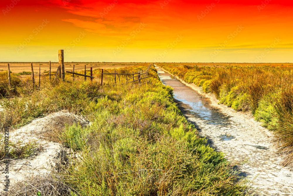 Nature reserve Camargue in France Nature reserve Camargue in France