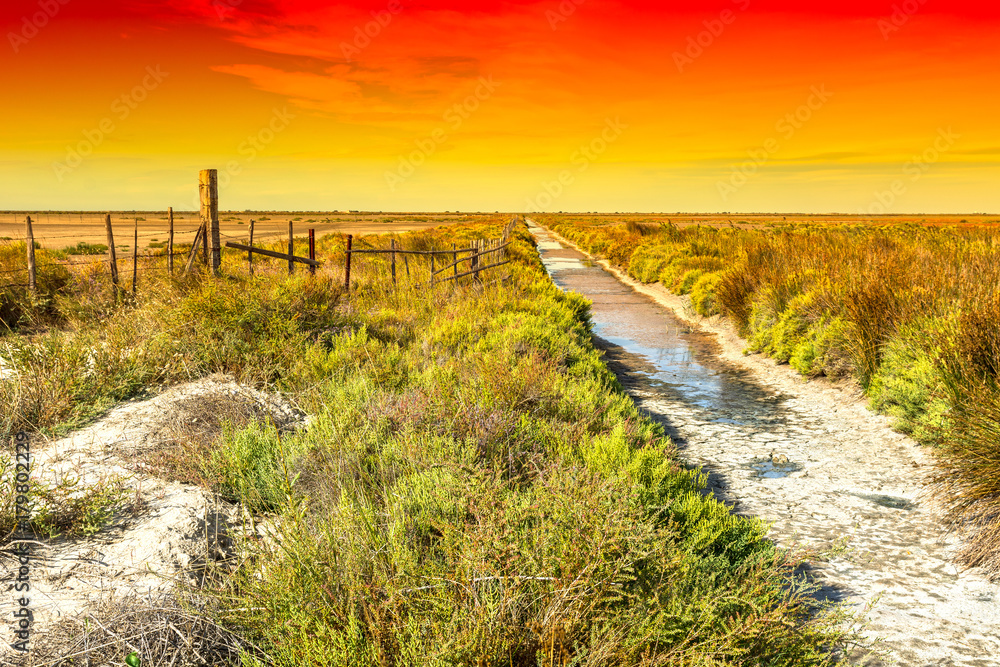 Nature reserve Camargue in France