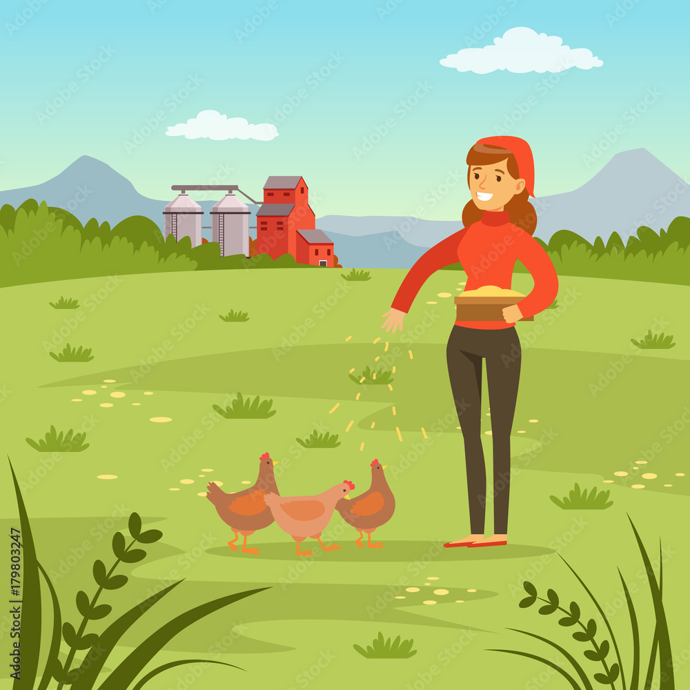 Fototapeta premium Farmer woman feeding hens with corn, agriculture and farming, rural landscape vector Illustration