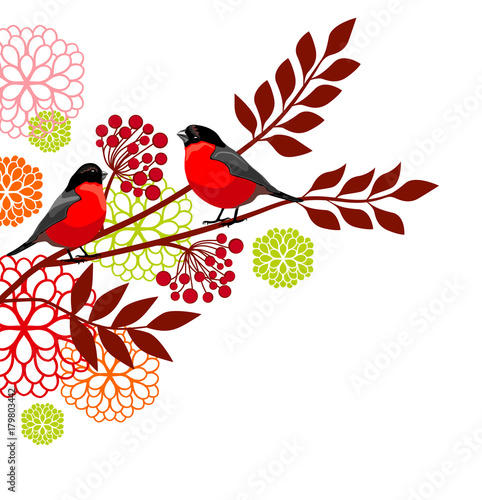 bullfinches on the branch