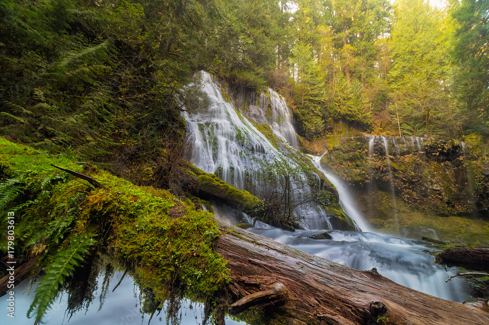 Fototapeta premium Log Jam by Panther Creek Falls in WA state USA